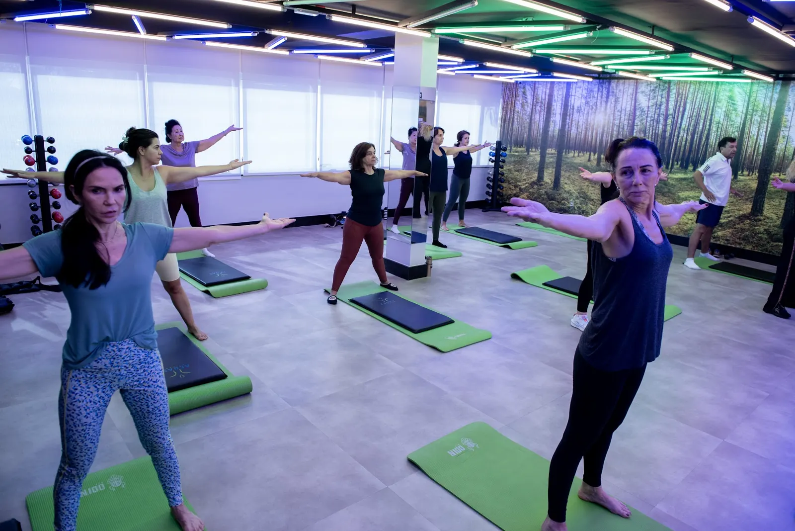 Turma em aula de alongamento no Estúdio Fitness com painel de floresta ao fundo